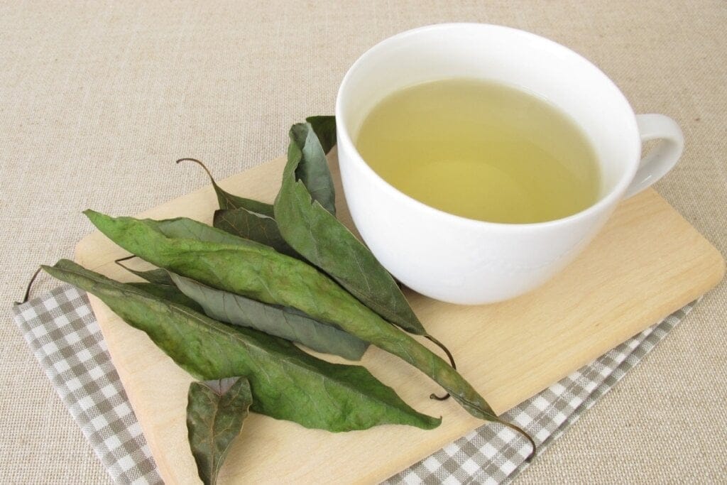 4 receitas práticas de chás para combater o inchaço