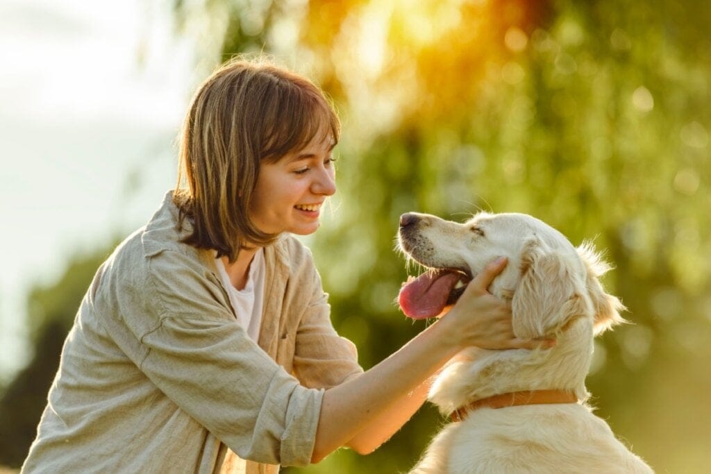 8 cuidados importantes com os animais de estimação no calor