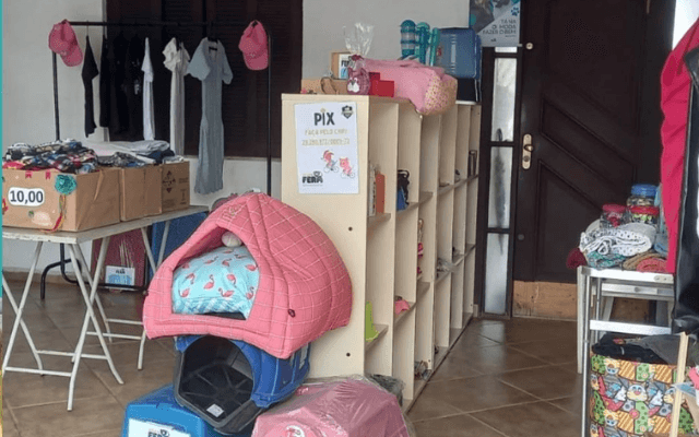 ONG Fera realiza 'Liquida Total' com itens para pets a partir de R$ 0,50