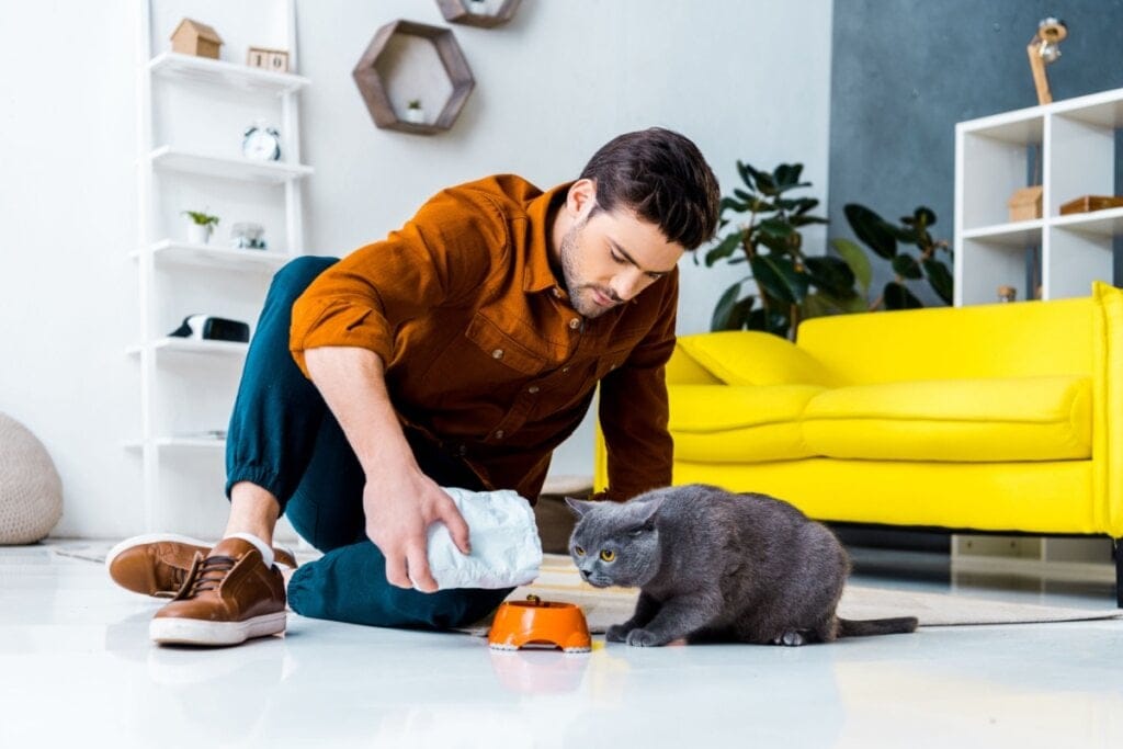 5 perguntas e respostas alimentos para gatos