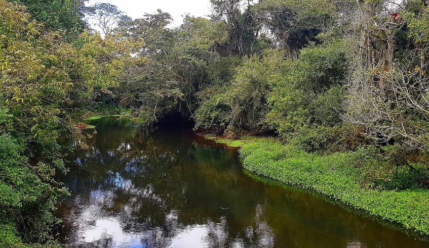 Mogi terá visita monitorada e programação especial no Dia da Água; confira