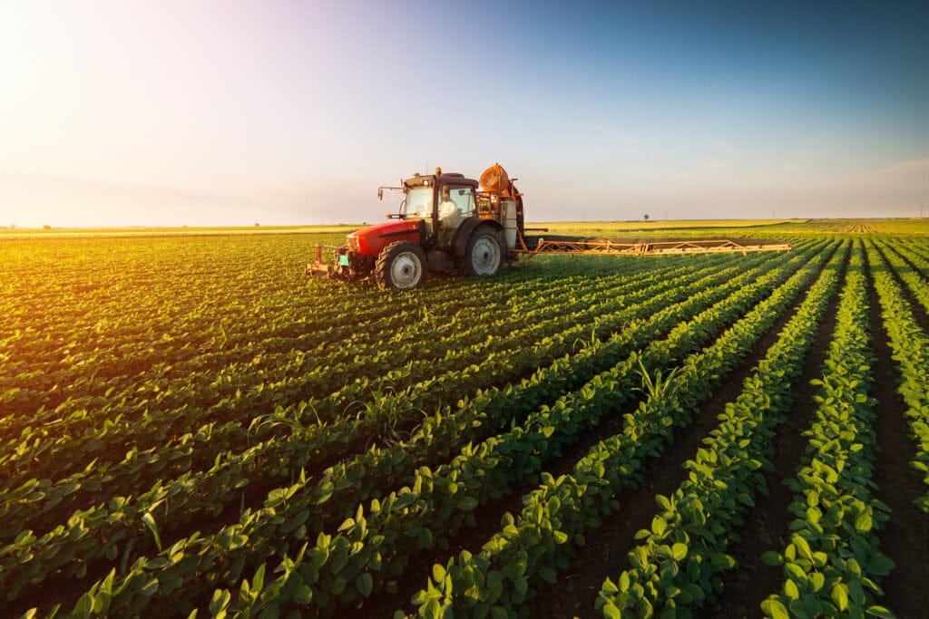 Entenda sobre os diferentes tipos de agricultura