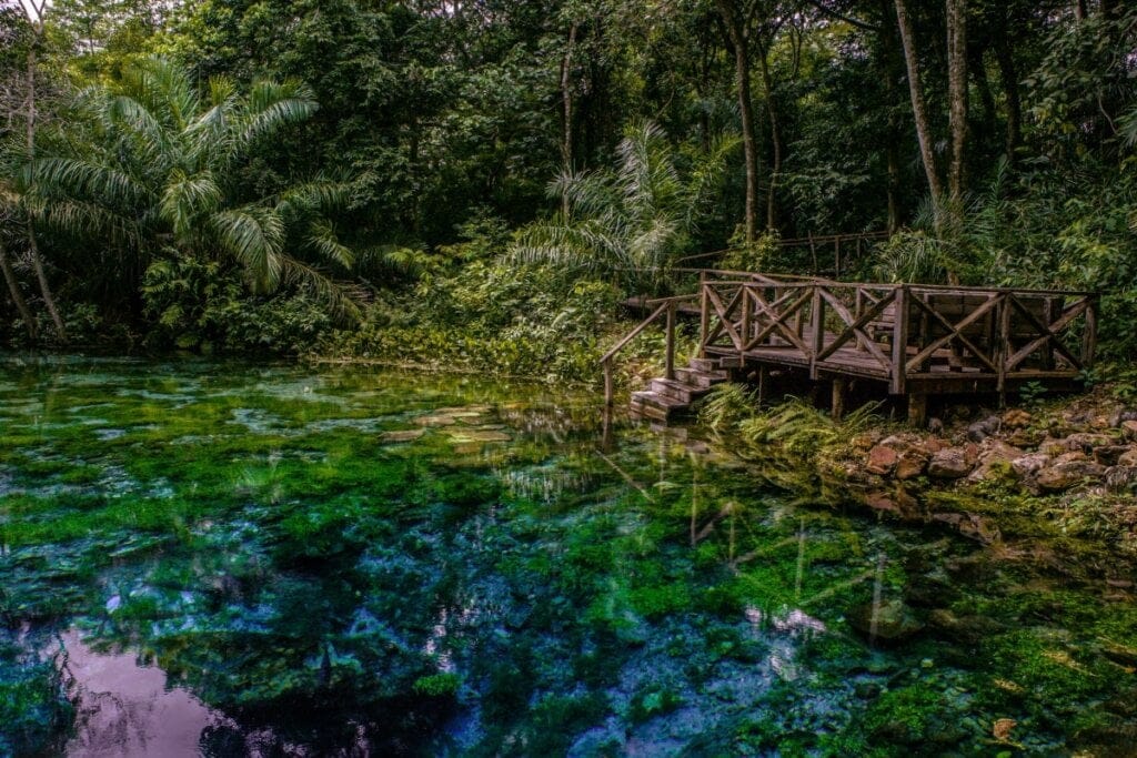 Conheça as maravilhas da natureza em Bonito