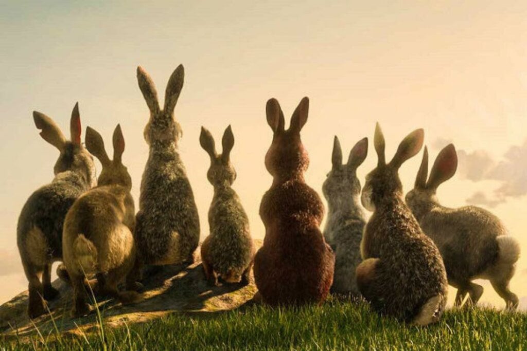 Capa do filme  "Em Busca de Watership Down" 