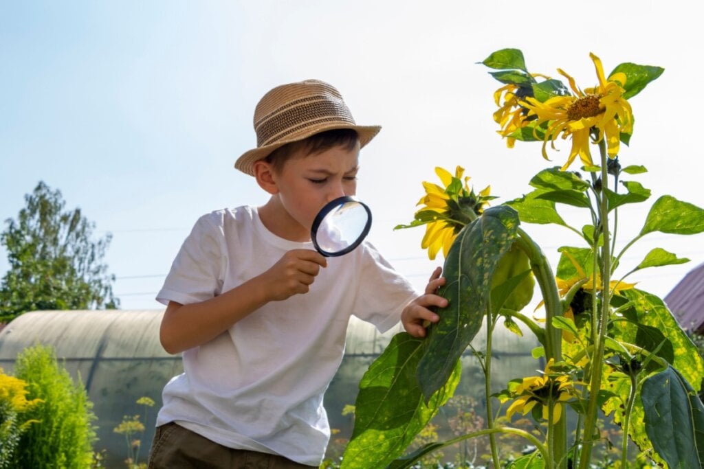 5 dicas para incentivar o contato das crianças com a natureza