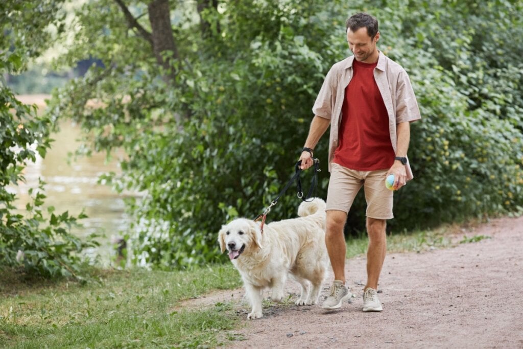 6 dicas para facilitar a adaptação do animal com a chegada do bebê