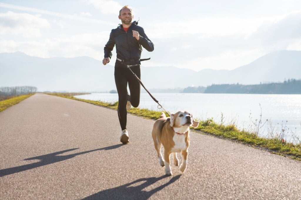 7 atividades físicas para praticar com o cachorro 