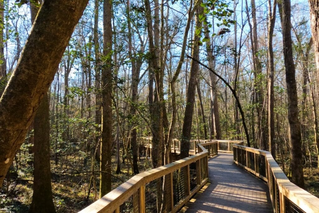 5 destinos deslumbrantes na Carolina do Sul