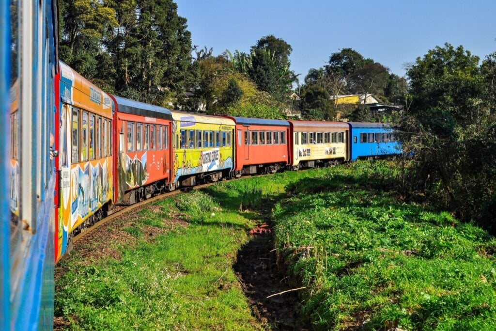 Imagem de vagões coloridos passando em trilho de trem em meio a natureza 