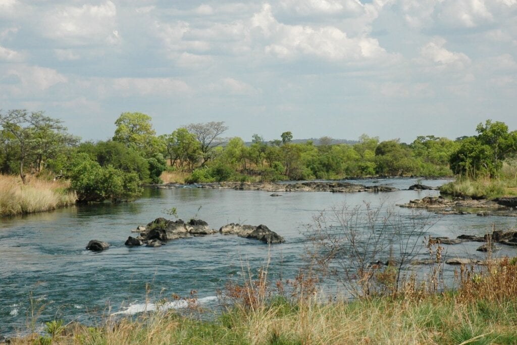 3 destinos exclusivos para explorar a vida selvagem africana