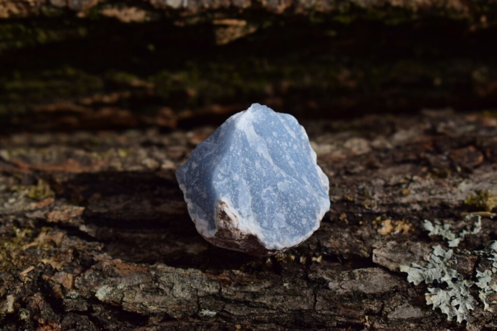 Cristal angelita em tons de azul em cima de árvore