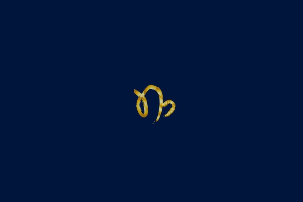 Ilustração do signo de capricórnio em dourado e no formato de uma corda em um fundo azul-escuro