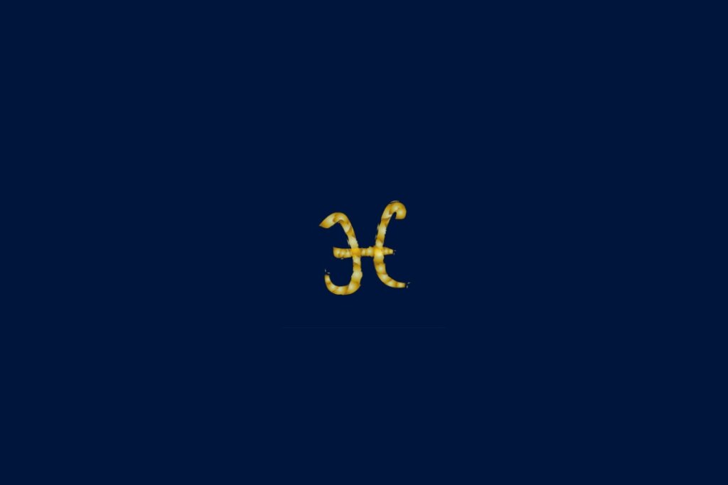 Ilustração do signo de peixe em dourado e no formato de uma corda em um fundo azul-escuro
