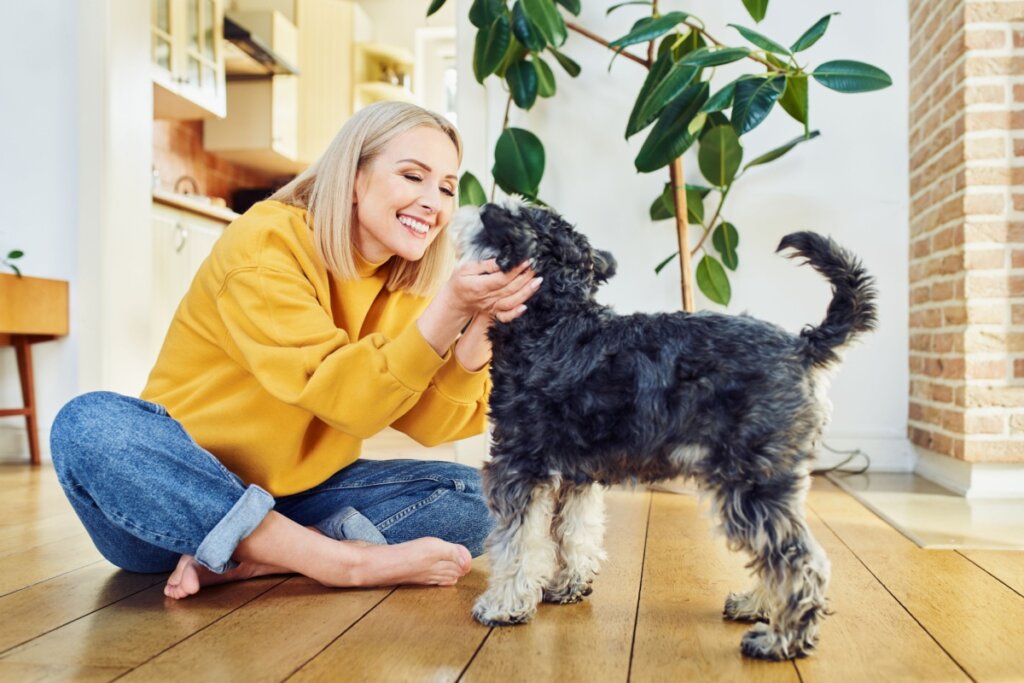 10 principais tipos de personalidades de cachorro