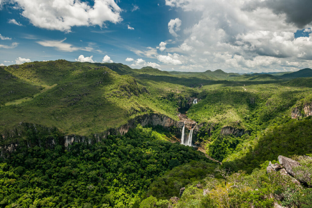 Cerrado e COP30: veja como esses assuntos podem aparecer nas provas