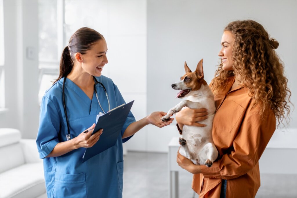 Fisioterapia para animais: conheça as opções e os benefícios