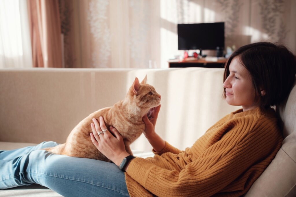 Seu gato gosta de miar? Confira 10 nomes que combinam com ele