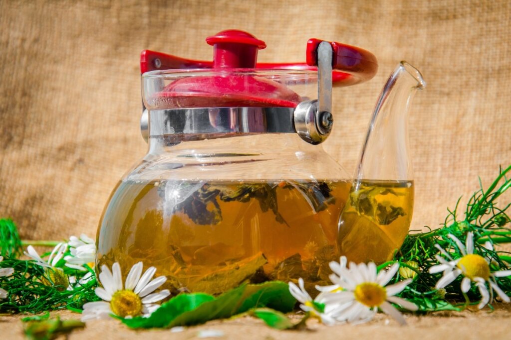 8 soluções naturais para melhorar a digestão e reduzir desconfortos