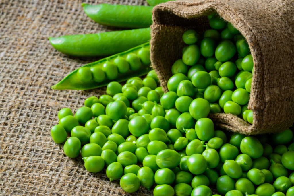 5 leguminosas que contribuem para uma alimentação equilibrada
