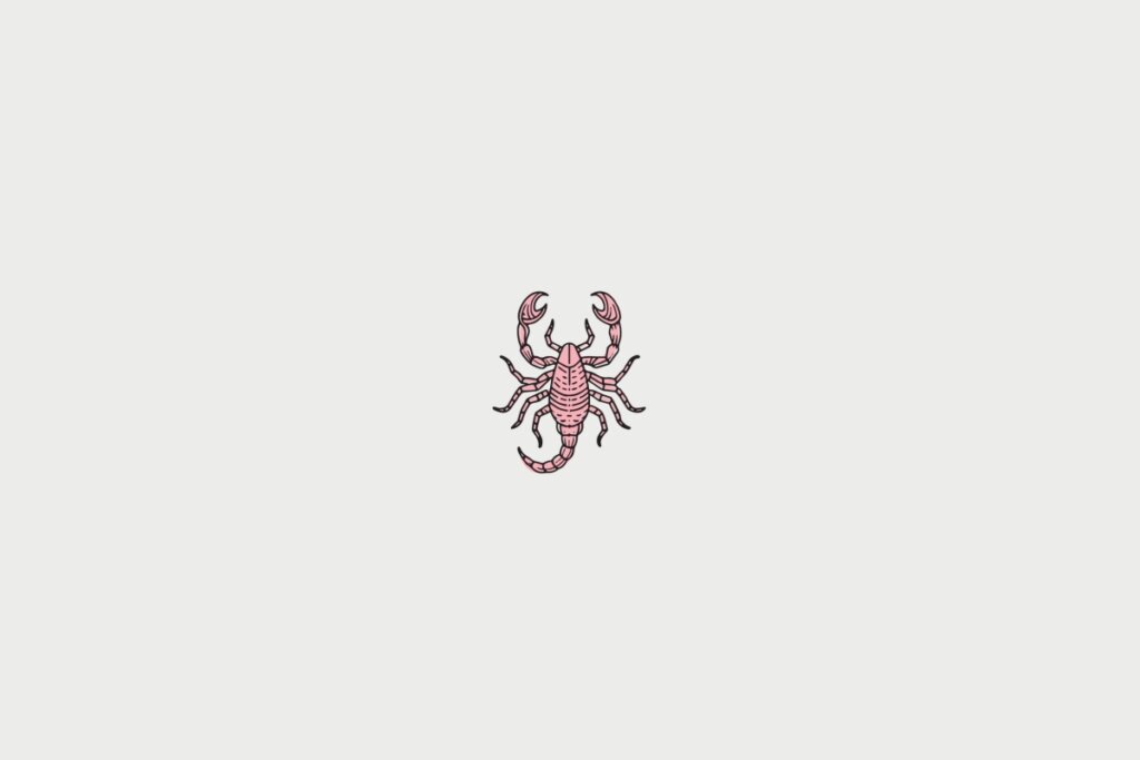 ilustração rosa de escorpião representando o signo de escorpião  sobre fundo cinza-claro