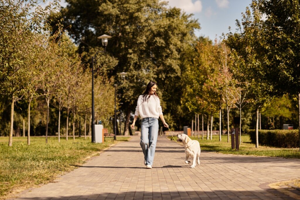 Cachorro bravo: 6 dicas para melhorar o comportamento do animal 