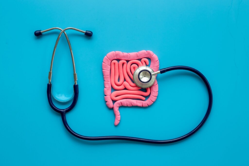 Câncer colorretal: entenda o impacto do consumo de ultraprocessados na saúde intestinal