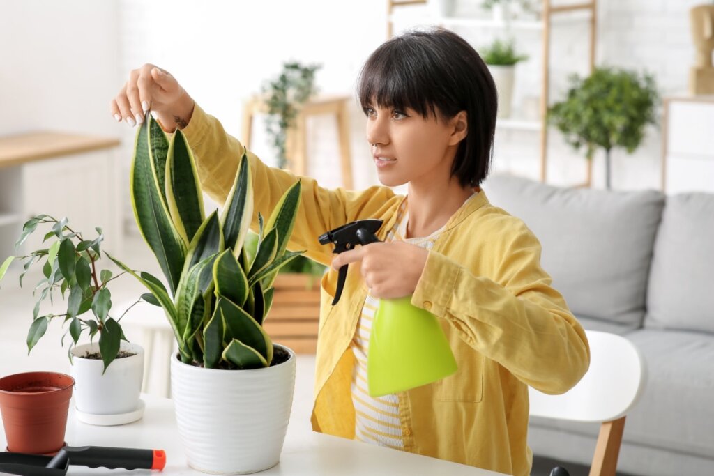 Feng Shui: 3 dicas essenciais para melhorar a energia da sua casa