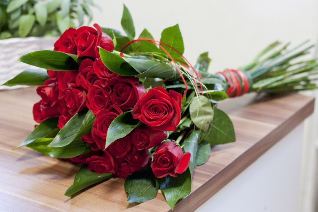 5 plantas para atrair mais amor para a sua vida