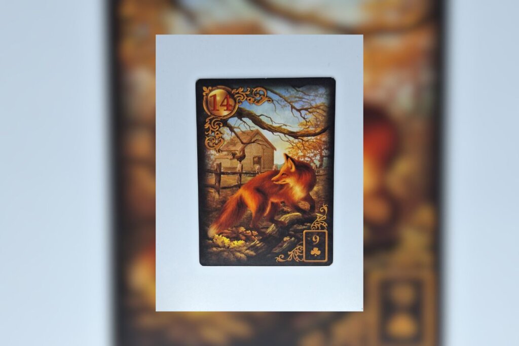 Carta "A Raposa" em fundo azul-claro