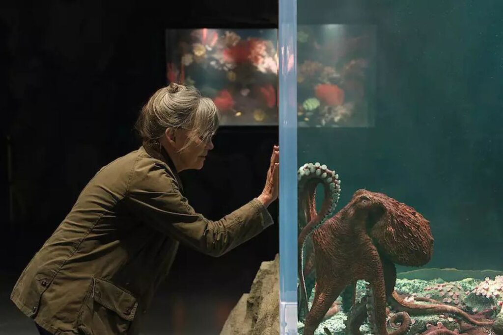 Cena do filme "Criaturas Extraordinariamente Brilhantes", com uma mulher colocando a mão no vidro de um aquário com um polvo