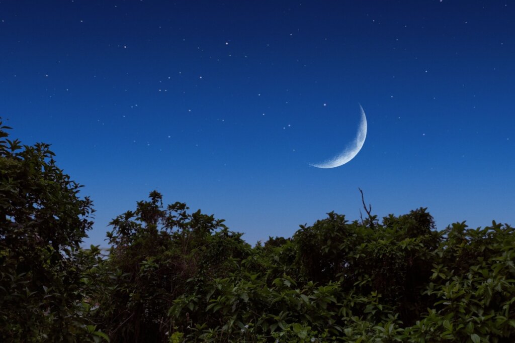 Lua hoje: veja qual é a fase lunar desta segunda-feira, 11 de maio de 2026