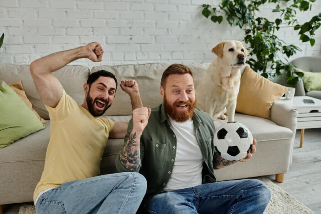 Copa do Mundo, fogos e ansiedade: veja como proteger os cães durante as comemorações