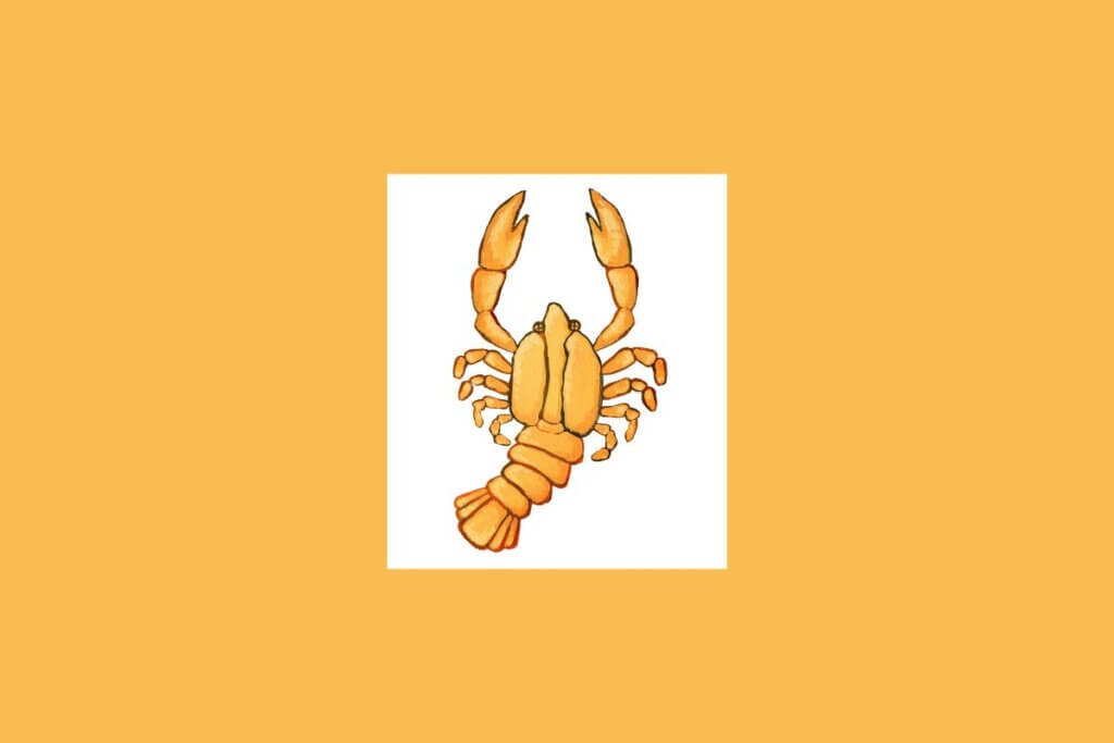 Uma ilustração simples de um caranguejo, representando o signo de Câncer, sobre um fundo claro cercado por um tom alaranjado