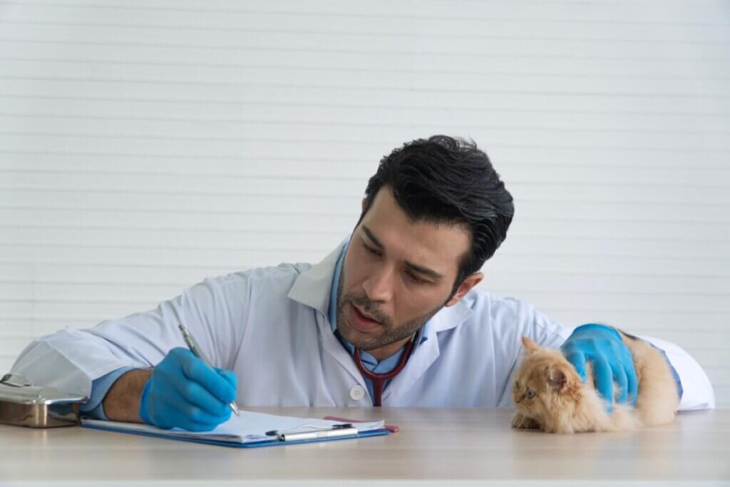 Seu pet tem histórico médico ou apenas uma coleção de exames?