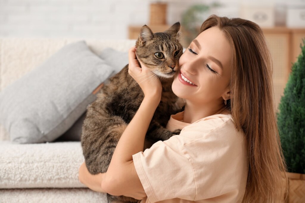 7 dicas para conquistar a confiança do seu gato 