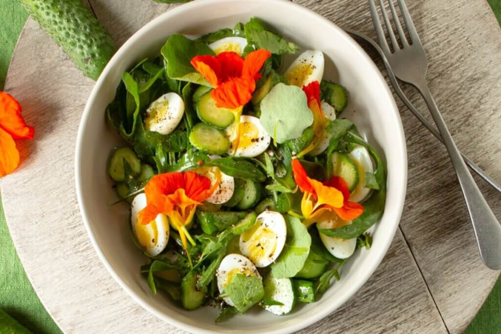 Almoço saudável: 5 receitas fáceis e nutritivas com ovo para o dia a dia