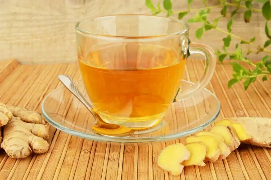 Chá de capim-santo: 3 receitas e os seus benefícios para a saúde