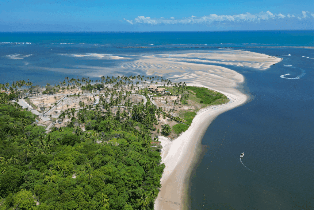 Uma vista aérea mostra uma praia de areia clara cercada por extensa vegetação verde e coqueiros. O mar azul e tranquilo forma bancos de areia sinuosos e áreas rasas próximas à costa. Pequenas embarcações aparecem na água, sob um céu azul com poucas nuvens.
