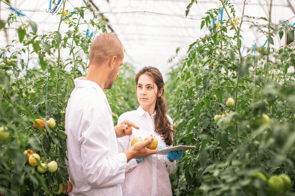 Engenharia agronômica: 7 áreas de atuação que ultrapassam o trabalho no campo
