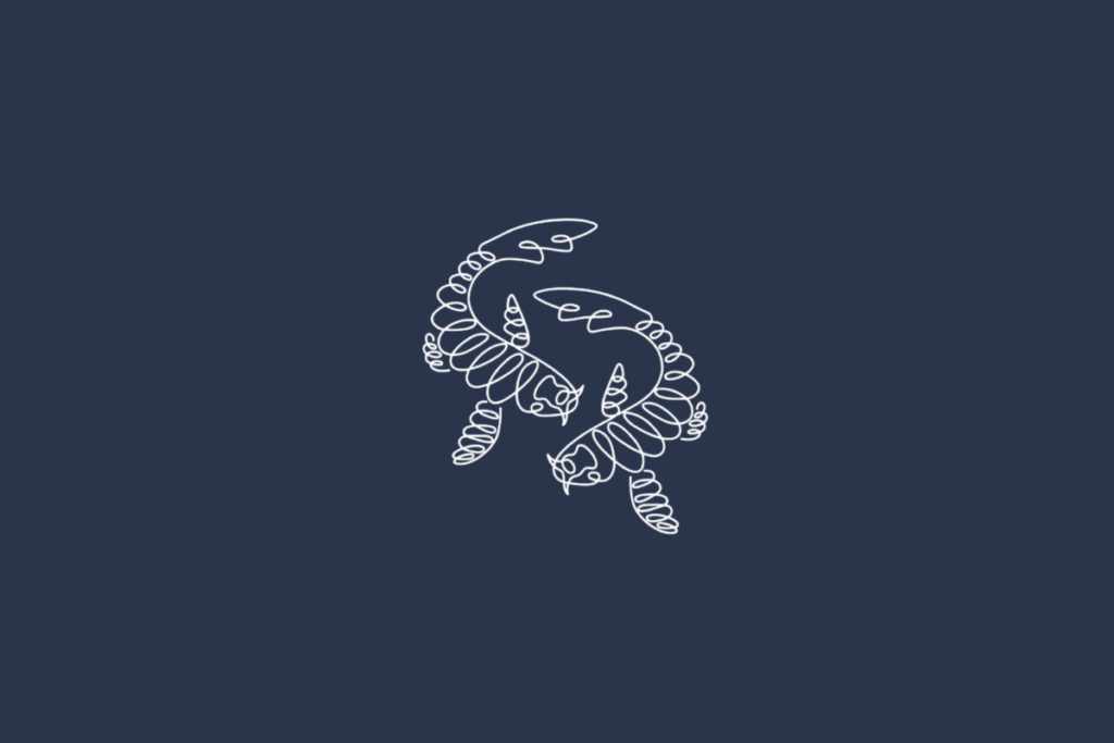 Ilustração linear branca do signo de Peixes sobre fundo azul-marinho uniforme. O desenho mostra dois peixes estilizados, posicionados em sentidos opostos e entrelaçados. Os corpos são alongados e curvos, com nadadeiras formadas por linhas onduladas e detalhes ornamentais nas escamas e nas cabeças. As caudas e as nadadeiras se estendem em diferentes direções, formando uma composição circular.