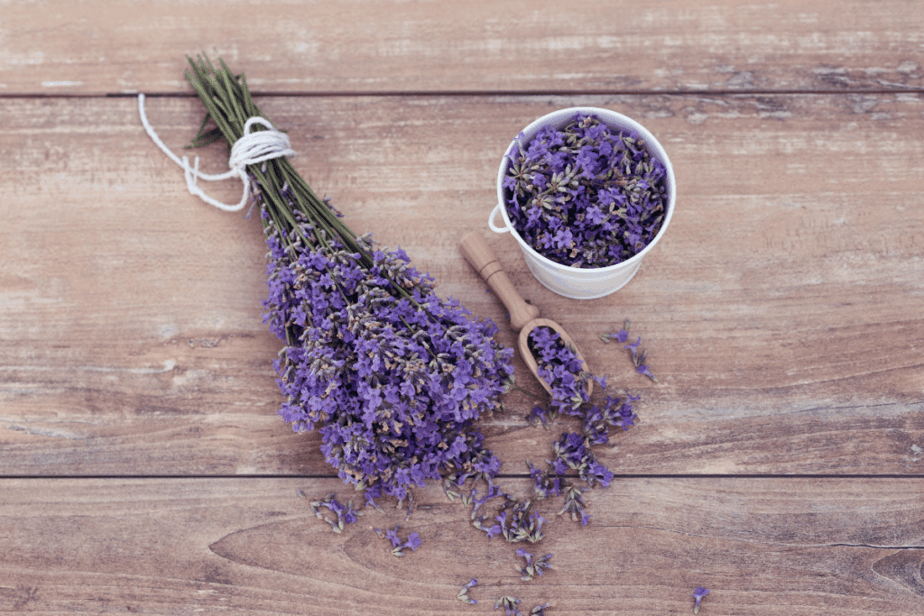 Maço de lavanda com pequenas flores roxas, amarrado com um cordão branco e colocado na diagonal sobre uma mesa de madeira clara. À direita, há uma xícara branca cheia de flores secas de lavanda e uma pequena colher de madeira com algumas flores. Outras flores estão espalhadas pela superfície da mesa, que apresenta veios e marcas naturais. A composição é vista de cima e destaca os tons de roxo das flores em contraste com a madeira em tons de bege e marrom.
